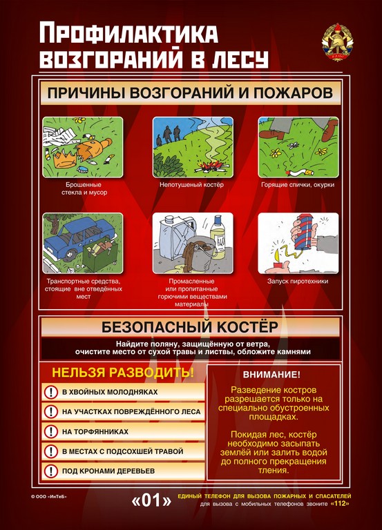 16_in_forest.jpg
